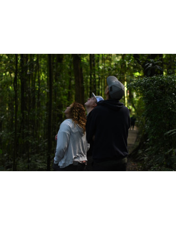 Tu Mañana o Tarde en Monteverde
